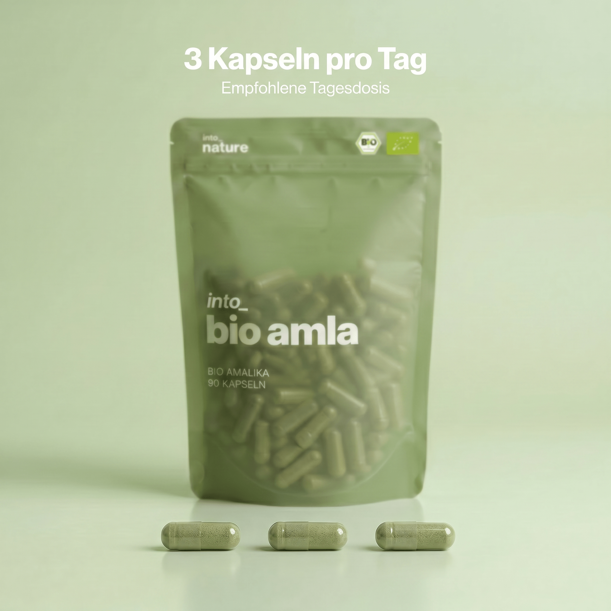 Einnahmeempfehlung: 3 Bio Amla Kapseln als tägliche Dosis