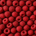 Bio-Himbeeren gefriergetrocknet - 200g