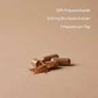 Bio Reishi Extrakt Kapseln
