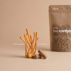 Bio Cordyceps Extrakt Kapseln