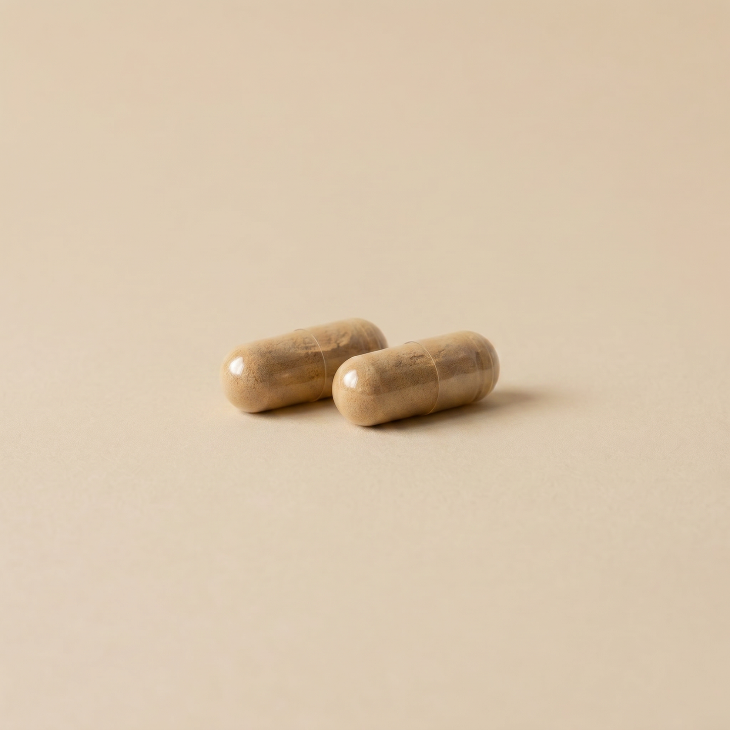 Bio Cordyceps Extrakt Kapseln