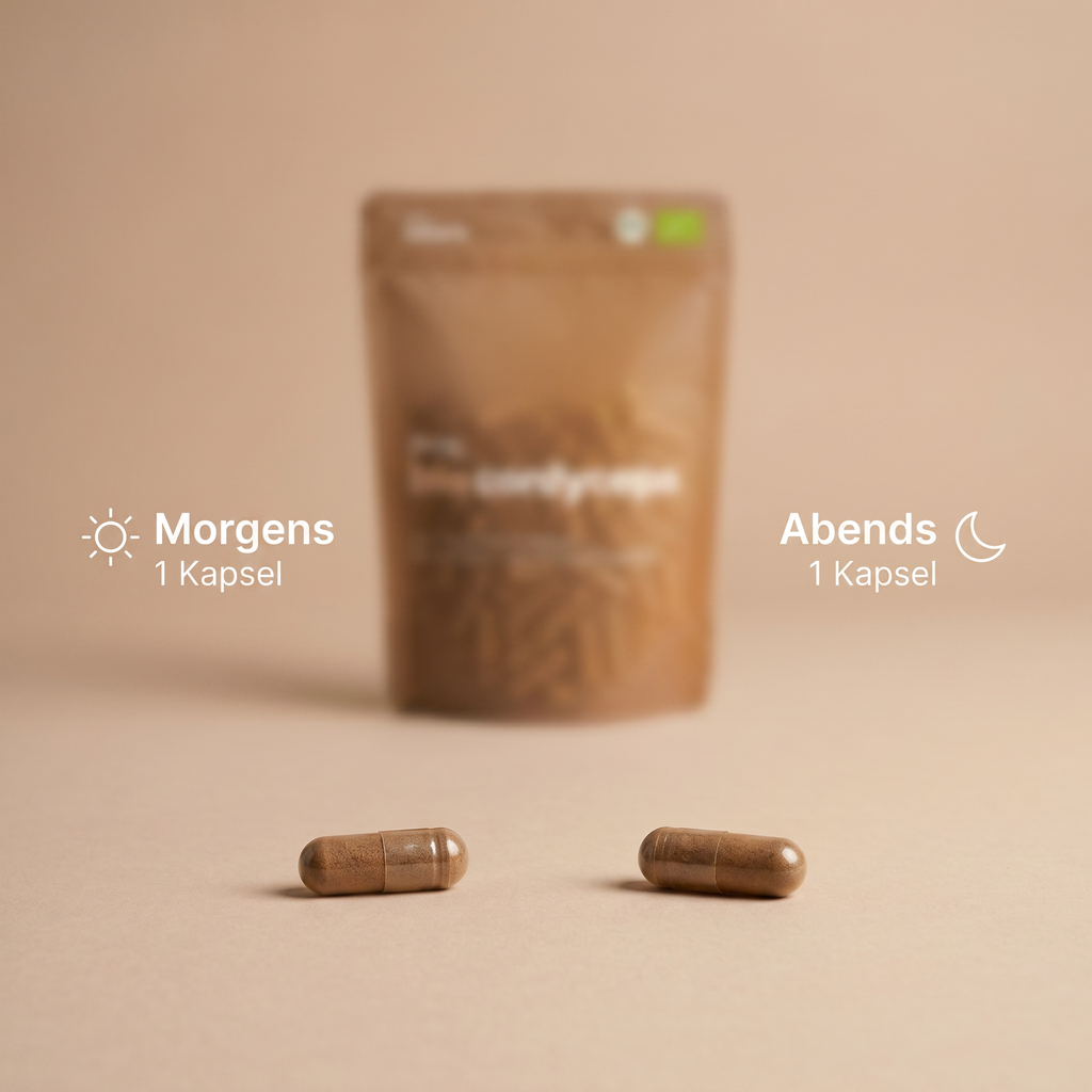 Bio Cordyceps Extrakt Kapseln