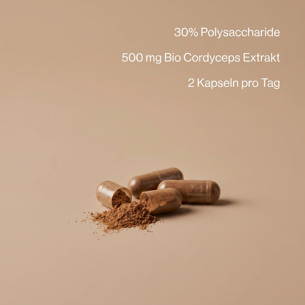 Bio Cordyceps Extrakt Kapseln
