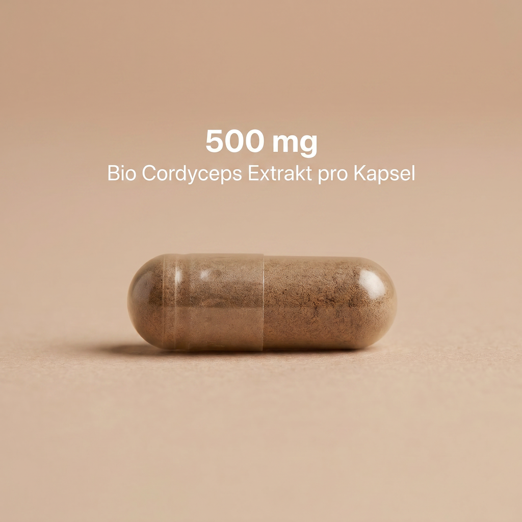 Bio Cordyceps Extrakt Kapseln
