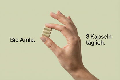 Bio Amla Pulver Kapseln
